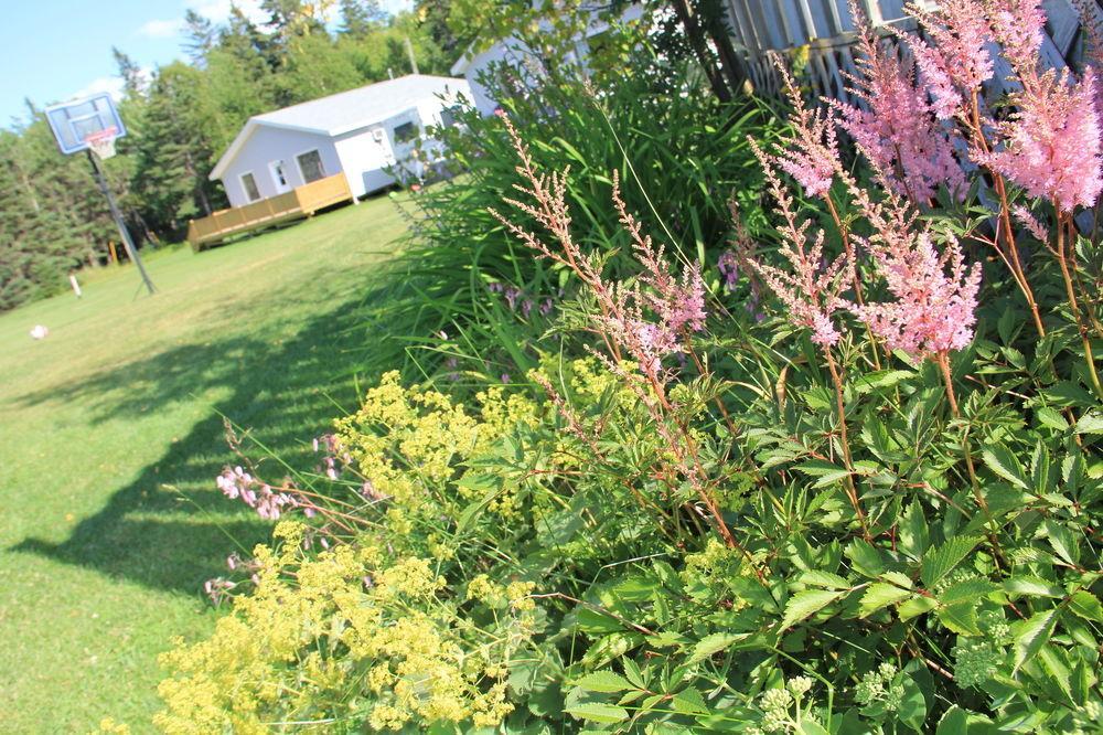 Hidden Acres Cottages Cavendish Eksteriør billede