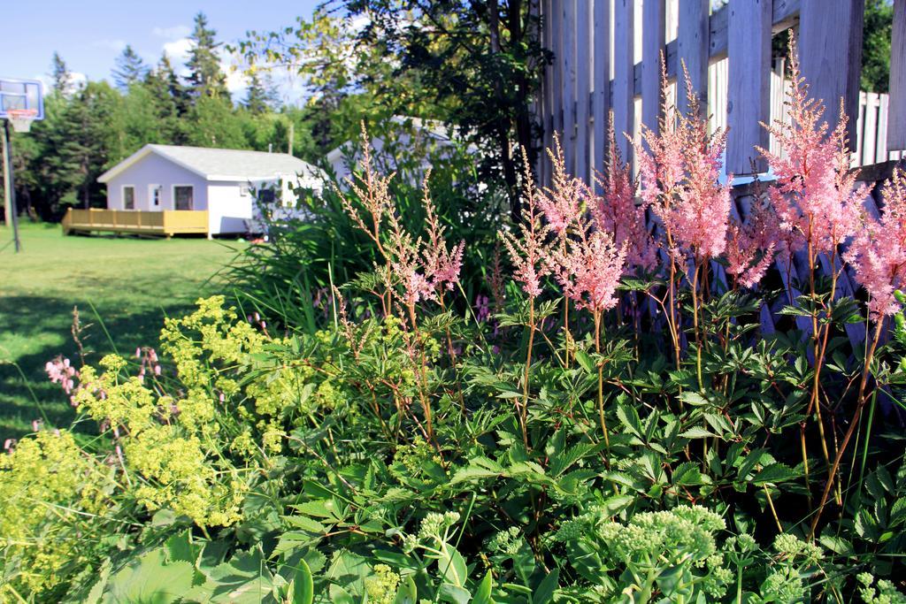 Hidden Acres Cottages Cavendish Eksteriør billede